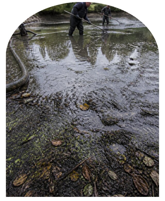 Очистка пруда в Беслане от ила мусора и водорослей с вывозом